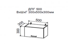 Шкаф верхний ДПГ500 горизонтальный в Верхней Туре - verhnyaya-tura.магазин96.com | фото