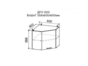 Шкаф верхний ДПУ600 угловой в Верхней Туре - verhnyaya-tura.магазин96.com | фото